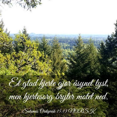 Picture 03 - Salomos Ordspråk 15:13 NORSK - Et glad hjerte gjør åsynet lyst, men hjertesorg - Bible Verse Picture