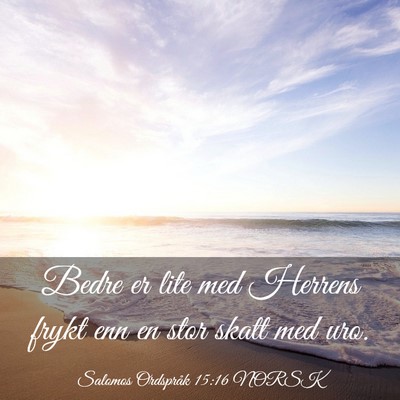 Picture 03 - Salomos Ordspråk 15:16 NORSK - Bedre er lite med Herrens frykt enn en stor skatt - Bible Verse Picture