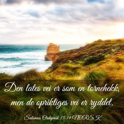 Picture 03 - Salomos Ordspråk 15:19 NORSK - Den lates vei er som en tornehekk, men de - Bible Verse Picture