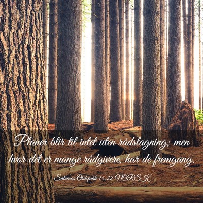 Picture 03 - Salomos Ordspråk 15:22 NORSK - Planer blir til intet uten rådslagning; men hvor - Bible Verse Picture