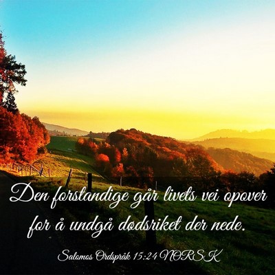 Picture 03 - Salomos Ordspråk 15:24 NORSK - Den forstandige går livets vei opover for å - Bible Verse Picture