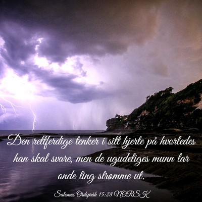 Picture 03 - Salomos Ordspråk 15:28 NORSK - Den rettferdige tenker i sitt hjerte på - Bible Verse Picture