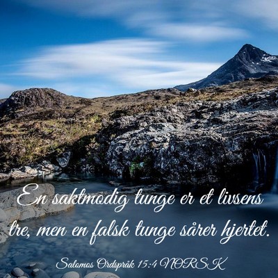Picture 03 - Salomos Ordspråk 15:4 NORSK - En saktmodig tunge er et livsens tre, men en - Bible Verse Picture