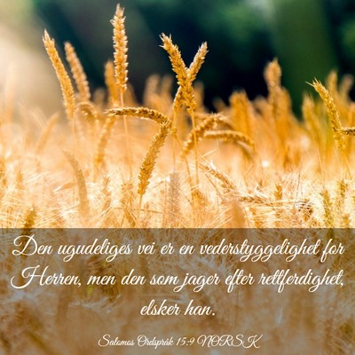 Picture 03 - Salomos Ordspråk 15:9 NORSK - Den ugudeliges vei er en vederstyggelighet for - Bible Verse Picture