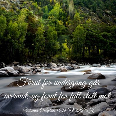 Picture 03 - Salomos Ordspråk 16:18 NORSK - Forut for undergang går overmot, og forut for - Bible Verse Picture