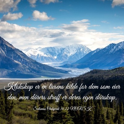 Picture 03 - Salomos Ordspråk 16:22 NORSK - Klokskap er en livsens kilde for dem som eier - Bible Verse Picture