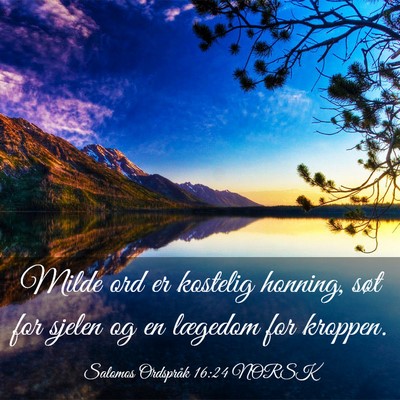 Picture 03 - Salomos Ordspråk 16:24 NORSK - Milde ord er kostelig honning, søt for sjelen og - Bible Verse Picture