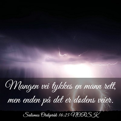 Picture 03 - Salomos Ordspråk 16:25 NORSK - Mangen vei tykkes en mann rett, men enden på det - Bible Verse Picture