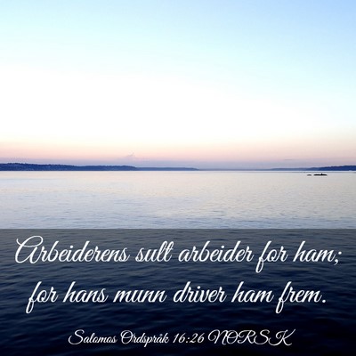 Picture 03 - Salomos Ordspråk 16:26 NORSK - Arbeiderens sult arbeider for ham; for hans munn - Bible Verse Picture