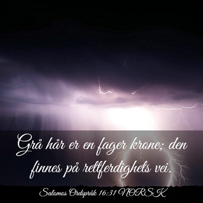 Picture 03 - Salomos Ordspråk 16:31 NORSK - Grå hår er en fager krone; den finnes på - Bible Verse Picture