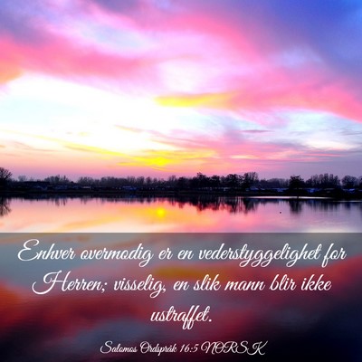 Picture 03 - Salomos Ordspråk 16:5 NORSK - Enhver overmodig er en vederstyggelighet for - Bible Verse Picture
