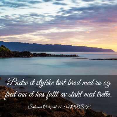 Picture 03 - Salomos Ordspråk 17:1 NORSK - Bedre et stykke tørt brød med ro og fred enn et - Bible Verse Picture