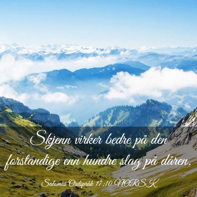 Picture 03 - Salomos Ordspråk 17:10 NORSK - Skjenn virker bedre på den forstandige enn - Bible Verse Picture