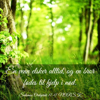 Picture 03 - Salomos Ordspråk 17:17 NORSK - En venn elsker alltid, og en bror fødes til - Bible Verse Picture