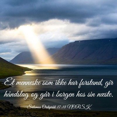 Picture 03 - Salomos Ordspråk 17:18 NORSK - Et menneske som ikke har forstand, gir håndslag - Bible Verse Picture
