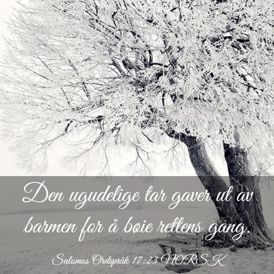Picture 03 - Salomos Ordspråk 17:23 NORSK - Den ugudelige tar gaver ut av barmen for å bøie - Bible Verse Picture