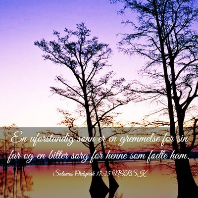 Picture 03 - Salomos Ordspråk 17:25 NORSK - En uforstandig sønn er en gremmelse for sin far - Bible Verse Picture