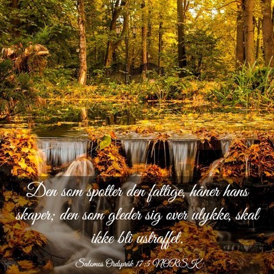 Picture 03 - Salomos Ordspråk 17:5 NORSK - Den som spotter den fattige, håner hans skaper; - Bible Verse Picture