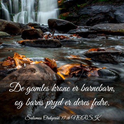 Picture 03 - Salomos Ordspråk 17:6 NORSK - De gamles krone er barnebarn, og barns pryd er - Bible Verse Picture