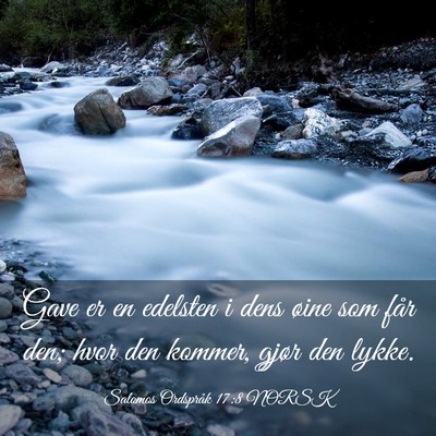 Picture 03 - Salomos Ordspråk 17:8 NORSK - Gave er en edelsten i dens øine som får den; - Bible Verse Picture