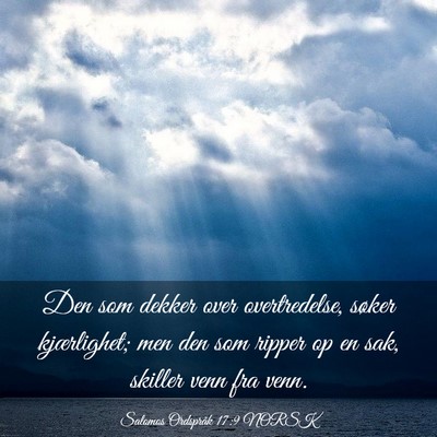 Picture 03 - Salomos Ordspråk 17:9 NORSK - Den som dekker over overtredelse, søker - Bible Verse Picture