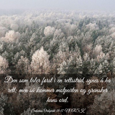 Picture 03 - Salomos Ordspråk 18:17 NORSK - Den som taler først i en rettsstrid, synes å ha - Bible Verse Picture