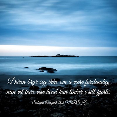 Picture 03 - Salomos Ordspråk 18:2 NORSK - Dåren bryr sig ikke om å være forstandig, men - Bible Verse Picture