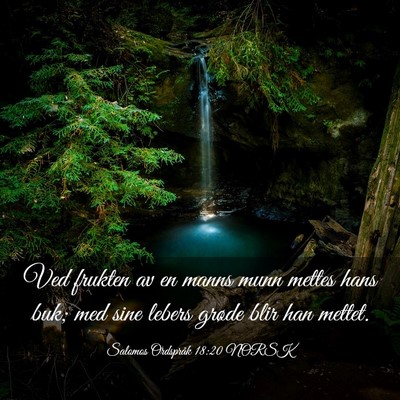 Picture 03 - Salomos Ordspråk 18:20 NORSK - Ved frukten av en manns munn mettes hans buk; med - Bible Verse Picture