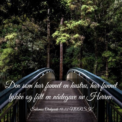 Picture 03 - Salomos Ordspråk 18:22 NORSK - Den som har funnet en hustru, har funnet lykke og - Bible Verse Picture