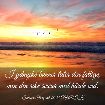 Picture 03 - Salomos Ordspråk 18:23 NORSK - I ydmyke bønner taler den fattige, men den rike - Bible Verse Picture