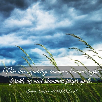 Picture 03 - Salomos Ordspråk 18:3 NORSK - Når den ugudelige kommer, kommer også forakt, - Bible Verse Picture