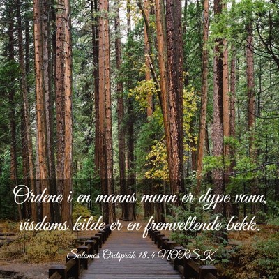 Picture 03 - Salomos Ordspråk 18:4 NORSK - Ordene i en manns munn er dype vann, visdoms - Bible Verse Picture