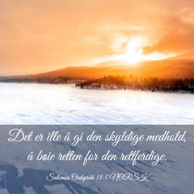 Picture 03 - Salomos Ordspråk 18:5 NORSK - Det er ille å gi den skyldige medhold, å bøie - Bible Verse Picture