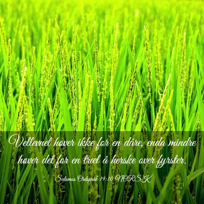 Picture 03 - Salomos Ordspråk 19:10 NORSK - Vellevnet høver ikke for en dåre, enda mindre - Bible Verse Picture