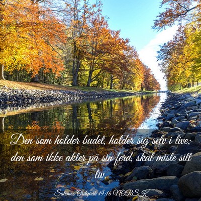 Picture 03 - Salomos Ordspråk 19:16 NORSK - Den som holder budet, holder sig selv i live; den - Bible Verse Picture