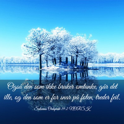 Picture 03 - Salomos Ordspråk 19:2 NORSK - Også den som ikke bruker omtanke, går det ille, - Bible Verse Picture