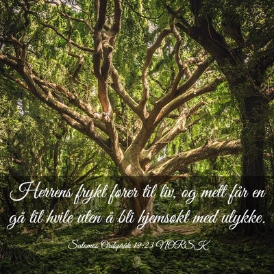 Picture 03 - Salomos Ordspråk 19:23 NORSK - Herrens frykt fører til liv, og mett får en gå - Bible Verse Picture