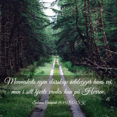 Picture 03 - Salomos Ordspråk 19:3 NORSK - Menneskets egen dårskap ødelegger hans vei, men - Bible Verse Picture