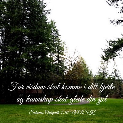 Picture 03 - Salomos Ordspråk 2:10 NORSK - For visdom skal komme i ditt hjerte, og kunnskap - Bible Verse Picture
