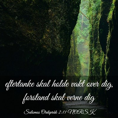 Picture 03 - Salomos Ordspråk 2:11 NORSK - eftertanke skal holde vakt over dig, forstand - Bible Verse Picture