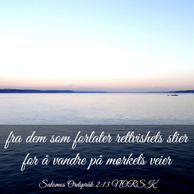 Picture 03 - Salomos Ordspråk 2:13 NORSK - fra dem som forlater rettvishets stier for å - Bible Verse Picture