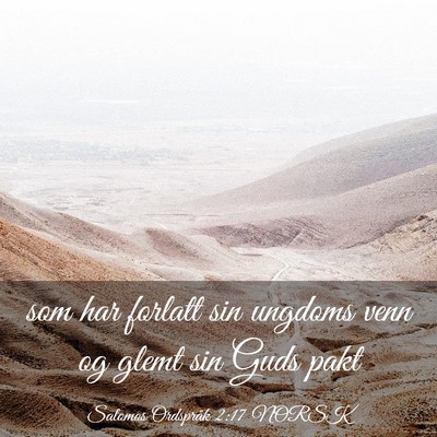 Picture 03 - Salomos Ordspråk 2:17 NORSK - som har forlatt sin ungdoms venn og glemt sin - Bible Verse Picture