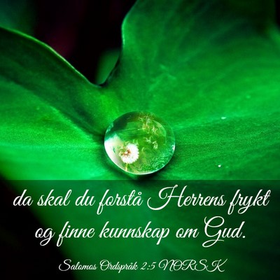 Picture 03 - Salomos Ordspråk 2:5 NORSK - da skal du forstå Herrens frykt og finne - Bible Verse Picture