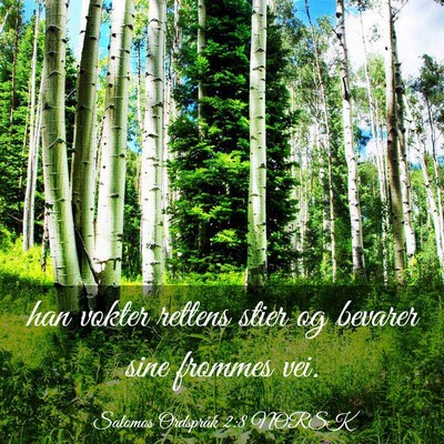 Picture 03 - Salomos Ordspråk 2:8 NORSK - han vokter rettens stier og bevarer sine frommes - Bible Verse Picture