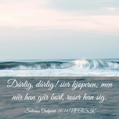 Picture 03 - Salomos Ordspråk 20:14 NORSK - Dårlig, dårlig! sier kjøperen; men når han - Bible Verse Picture