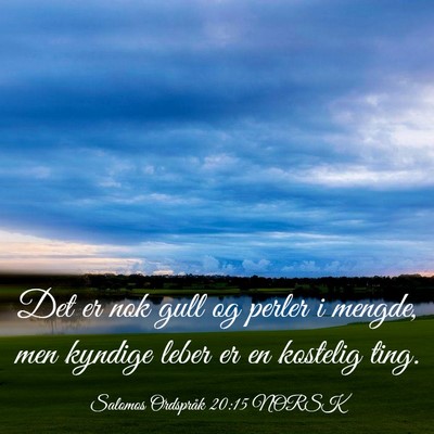 Picture 03 - Salomos Ordspråk 20:15 NORSK - Det er nok gull og perler i mengde, men kyndige - Bible Verse Picture