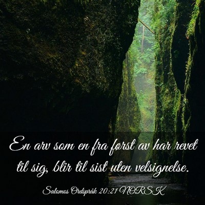 Picture 03 - Salomos Ordspråk 20:21 NORSK - En arv som en fra først av har revet til sig, - Bible Verse Picture