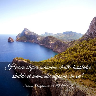 Picture 03 - Salomos Ordspråk 20:24 NORSK - Herren styrer mannens skritt; hvorledes skulde et - Bible Verse Picture