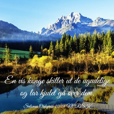 Picture 03 - Salomos Ordspråk 20:26 NORSK - En vis konge skiller ut de ugudelige og lar - Bible Verse Picture