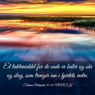 Picture 03 - Salomos Ordspråk 20:30 NORSK - Et tuktemiddel for de onde er buler og sår og - Bible Verse Picture